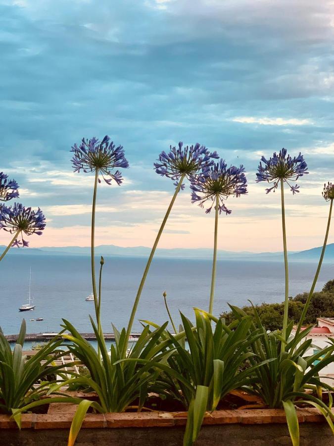 B&B L'Agapanto Capri Luaran gambar