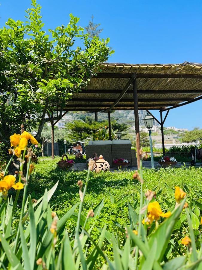 B&B L'Agapanto Capri Luaran gambar